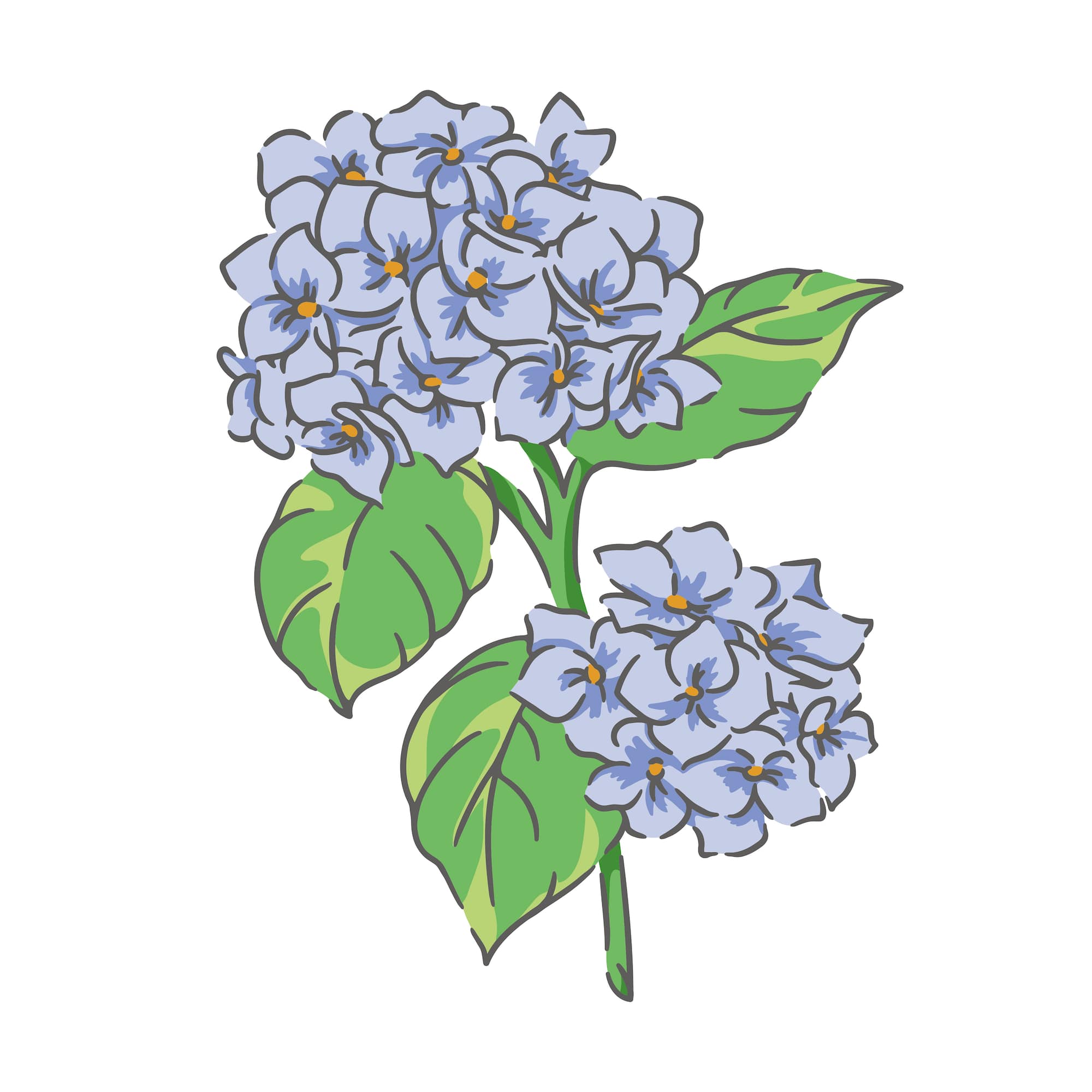 Hydrangeas Layering Stencils by Recollections™